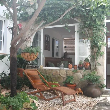Apartment Hedera