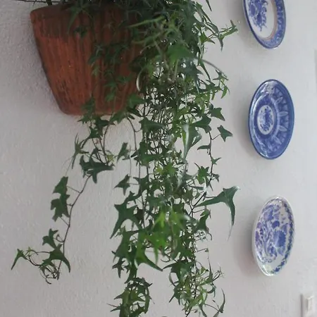 Hedera Appartement *