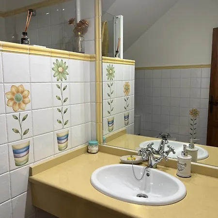 Hedera * Канделеда