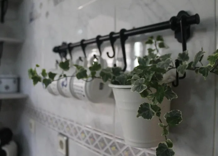 Hedera Apartmán Candeleda